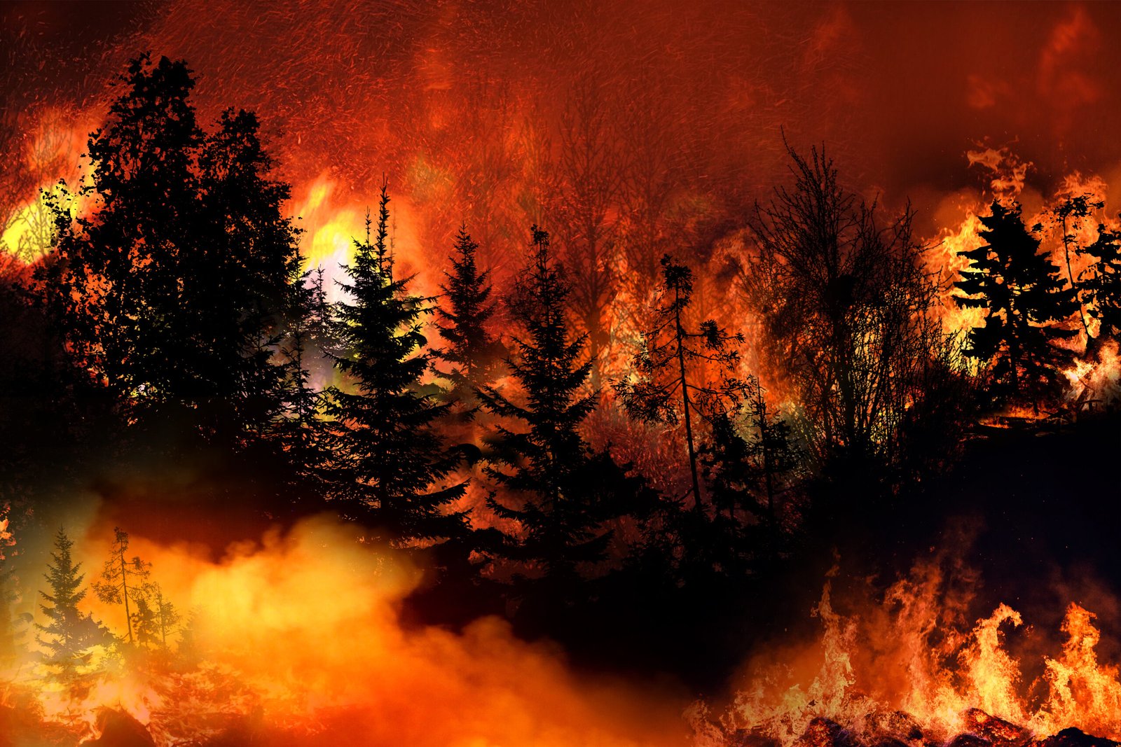 California wildfire
